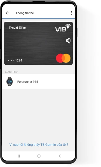 Garmin pay ing online