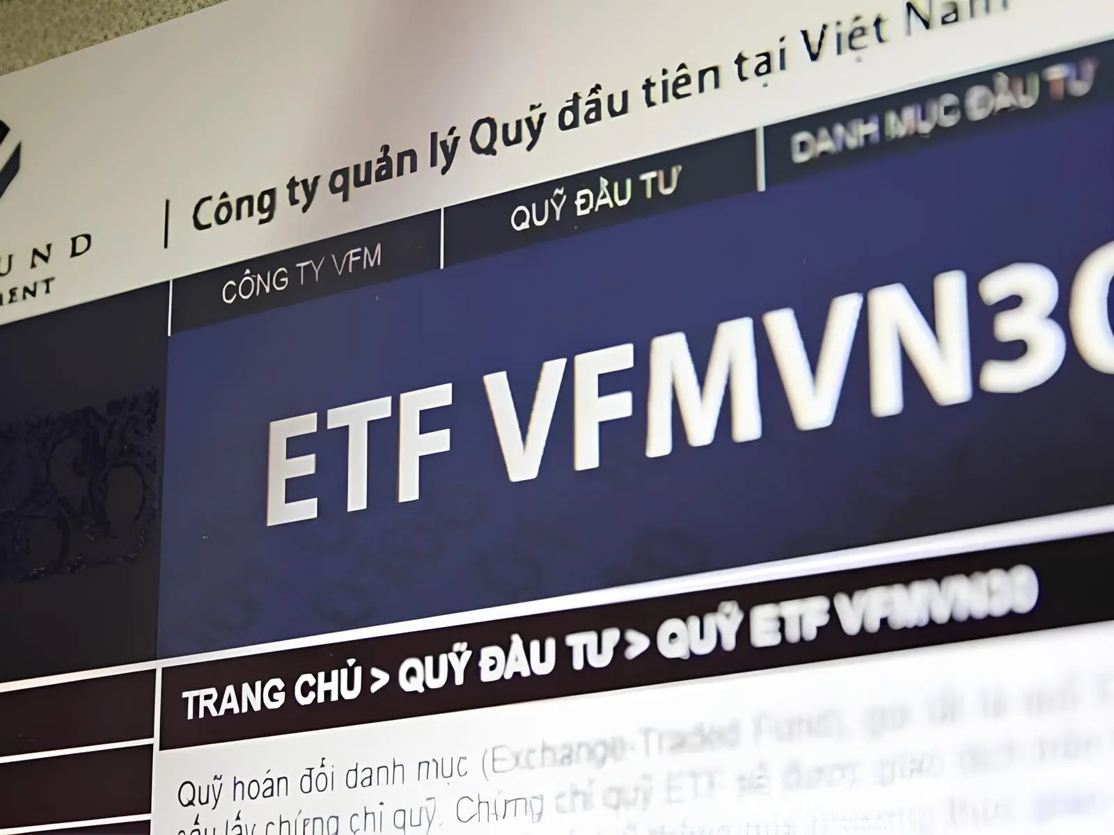 Quỹ ETF VFMVN30 