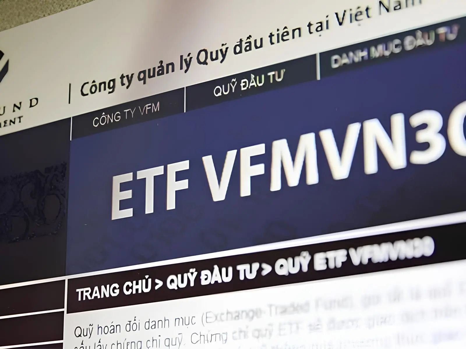 Quỹ ETF VFMVN30 Quỹ ETF VFMVN30