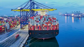 Tín dụng chứng từ nhập khẩu (LC)