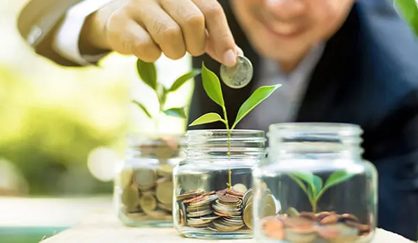 Nuôi heo theo kiểu mới sẽ giúp bạn dư được một khoản tiền không hề nhỏ