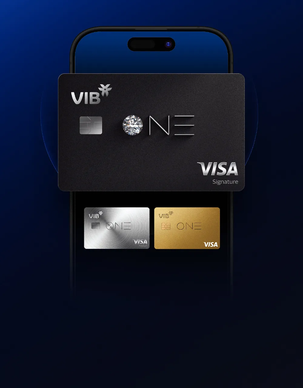 VIB One Card