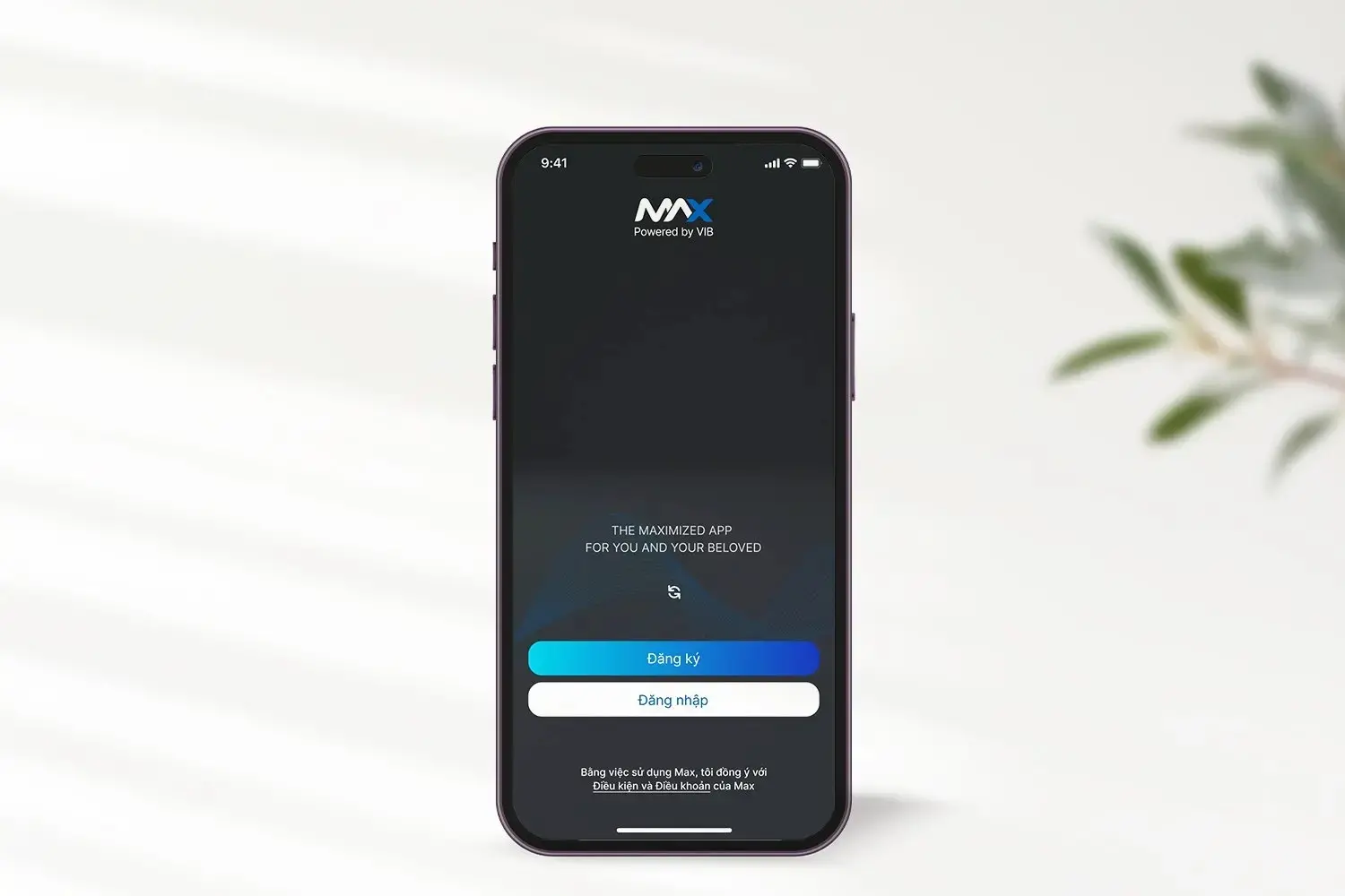 Giao diện sau khi tải ứng dụng Max